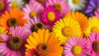 Boosting Your Mood: Simple Steps for a Happier Life