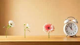 R Madhavan's Guide: Banish 4 Toxic Habits for a Peaceful, Prosperous Home