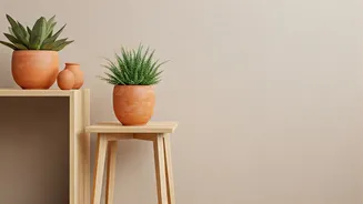 The Terracotta Guide: Sustainable Earthy Decor Hacks For Renters