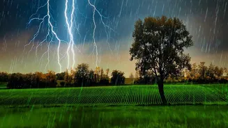Planning Around August's Particularly Wet Monsoon Stretch Starts With Verified Last-Mile Transport During Heavy Rain