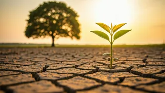 Plato's Wisdom: Nurturing Slow & Steady Progress in Children