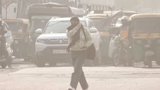 CAQM sets up expert panel to tackle vehicular pollution in Delhi-NCR