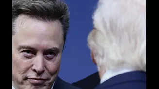 'Significant Risks For India': Beyond Elon Musk's Erratic Conduct, Starlink Is Unmanageable In Myriad Ways