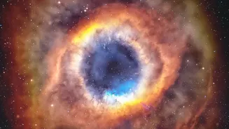 The One-Year Gain Could Preserve More Measurements of the Interstellar Medium