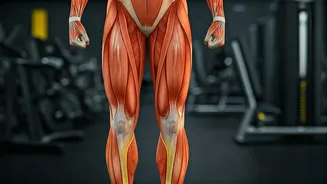 Boost Lower Body Strength & Mobility: A Comprehensive Guide