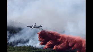 Nearly 3,000 Evacuated As France Battles Multiple Wildfires After Heatwave