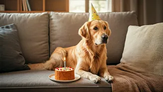 Pet Parents Are Treating Fur Babies Like Family