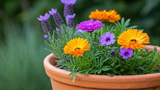 Banish Unwanted Guests: 5 Flowering Plants That Naturally Deter Lizards