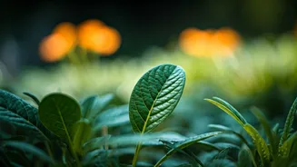 7 Essential Phrases for Cultivating a Positive Mindset in Children Daily