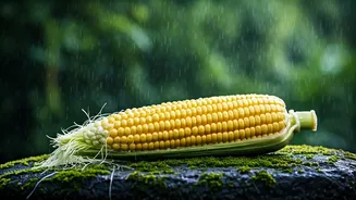 Corn Is The Rainy Detox Ingredient To Watch