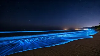 Stargazers Rush To Karnataka Beaches For Magical Glowing Ocean Waves