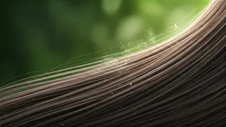 Rainy Season Needs A Cleaner Hair-Care Routine