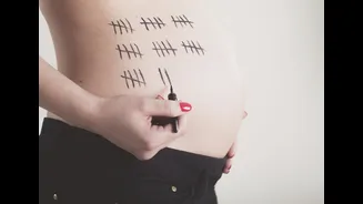 Como contar a gravidez em meses