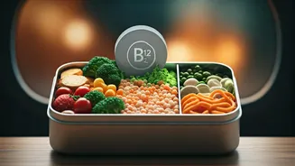 Why Veg Lunchboxes Need Immediate Vitamin B12 Strategic Evaluation