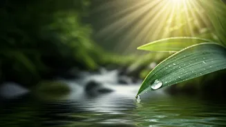 Unlock Inner Calm: 5 Daily Habits for Stress Reduction and Enhanced Well-being