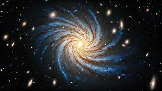 XLSSC 122 Has Entered The Space Chat