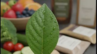India's Vegan Logo Rules Clarify Why Plant-Based Is Not The Same Claim