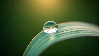 These Small Habits Matter More Than Ever