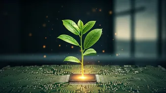 Climate Audit Certifications Lead Tech Grads To High Paying Roles