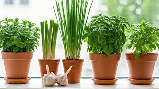 Naturally Repel Lizards: 5 Aromatic Plants to Keep Them Away From Your Home