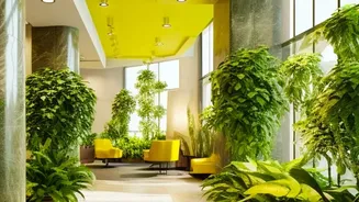 Best Indoor Plants To Keep Your Apartment Fresh And Green Throughout The Monsoon