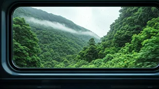 Monsoon Views Look Better From Train Windows