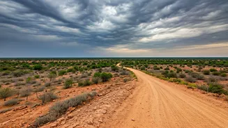 Rajasthan's Monsoon Delay Changes Travel Rhythm