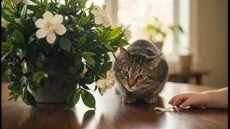 Check Whether A Scented Plant Is Safe Around Pets And Children