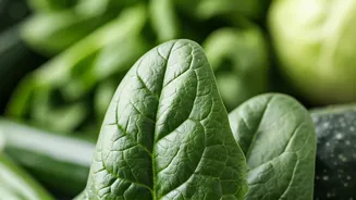 Magnesium Deficiency: 9 Signs and Natural Remedies