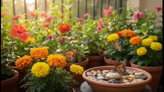 Easy Green Upgrades For Butterfly-Friendly Homes