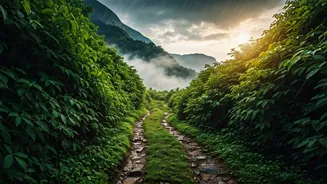 Ditch Cities For Misty Mountain Trails Western Ghats Monsoon Trips