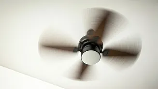 The Illusion of Motion: Why Fans Seem to Reverse