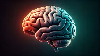 Understanding Neurodiversity: A Parent's Guide to Identifying and Supporting Your Child's Unique Mind