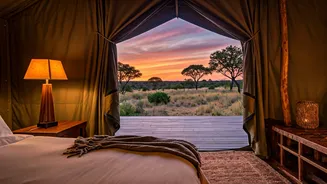 Wildlife Travel Is Getting A More Polished Look