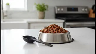 Premium Pet Bowls Need Portion Control First