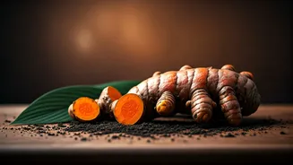 Turmeric Turns Rainy Gardening Into Kitchen Value