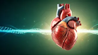 Thriving Past 50: India's Guide to Vitality, Longevity, and a Purposeful Second Act