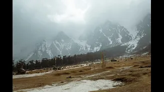 Winter Road Safety Tips for Indian Drivers