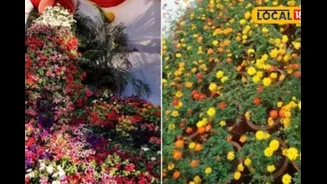 Mumbai Set For Flower Fest At Byculla Zoo: This Weekend Catch A Glimpse Of 5,000 Plants; Entry Free