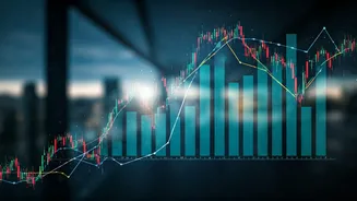 Adani Stocks' Crash: What Went Wrong & Market Impact