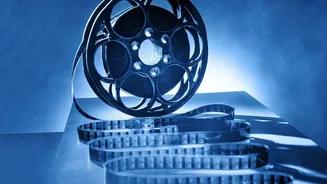 Top Classic Hindi Comedies Offering Unmatched Entertainment Pure Nostalgia And Endless Stress Relief For Weekend Screenings On OTT