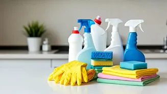 Clean Kitchen, Happy Home: Savings on Cleaning Essentials!