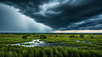 IMD Predicts Heavy Monsoon Rain Across 3 Big Indian Regions