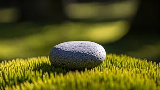 Master Your Mind: Unlock Inner Peace & Wisdom