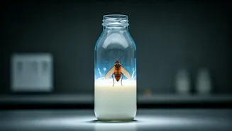 Consumer Outrage: Insect Found in High-Protein Milk Bottle; Brand Founder Addresses Concerns
