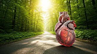 Heart Health: The Power of a Daily Walk