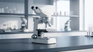 Healthcare AI In India: What Should Never Be Left To An Algorithm Alone?