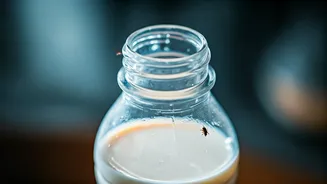 Provilac Milk Under Fire: Customer Finds Insect in High-Protein Bottle, Founder Addresses Concerns