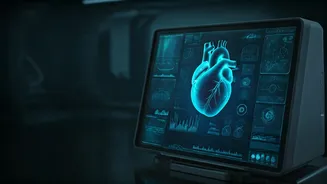 Unveiling the Mystery: How a New Tool Predicts Heart Attack Triggers