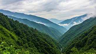 North India's Hills Wear Their Best Monsoon Look
